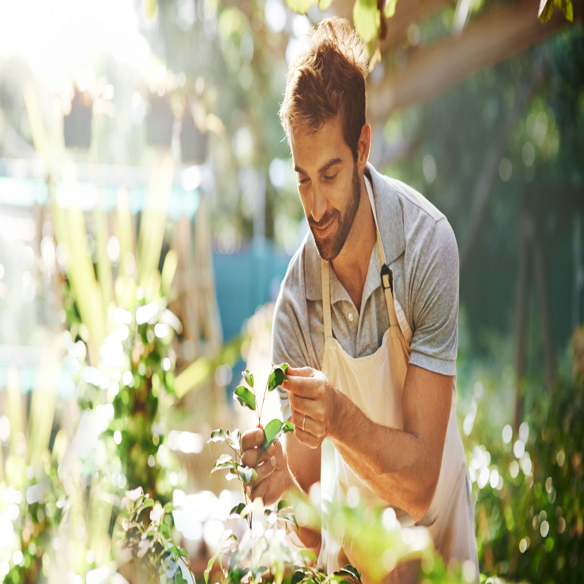 Landscape design