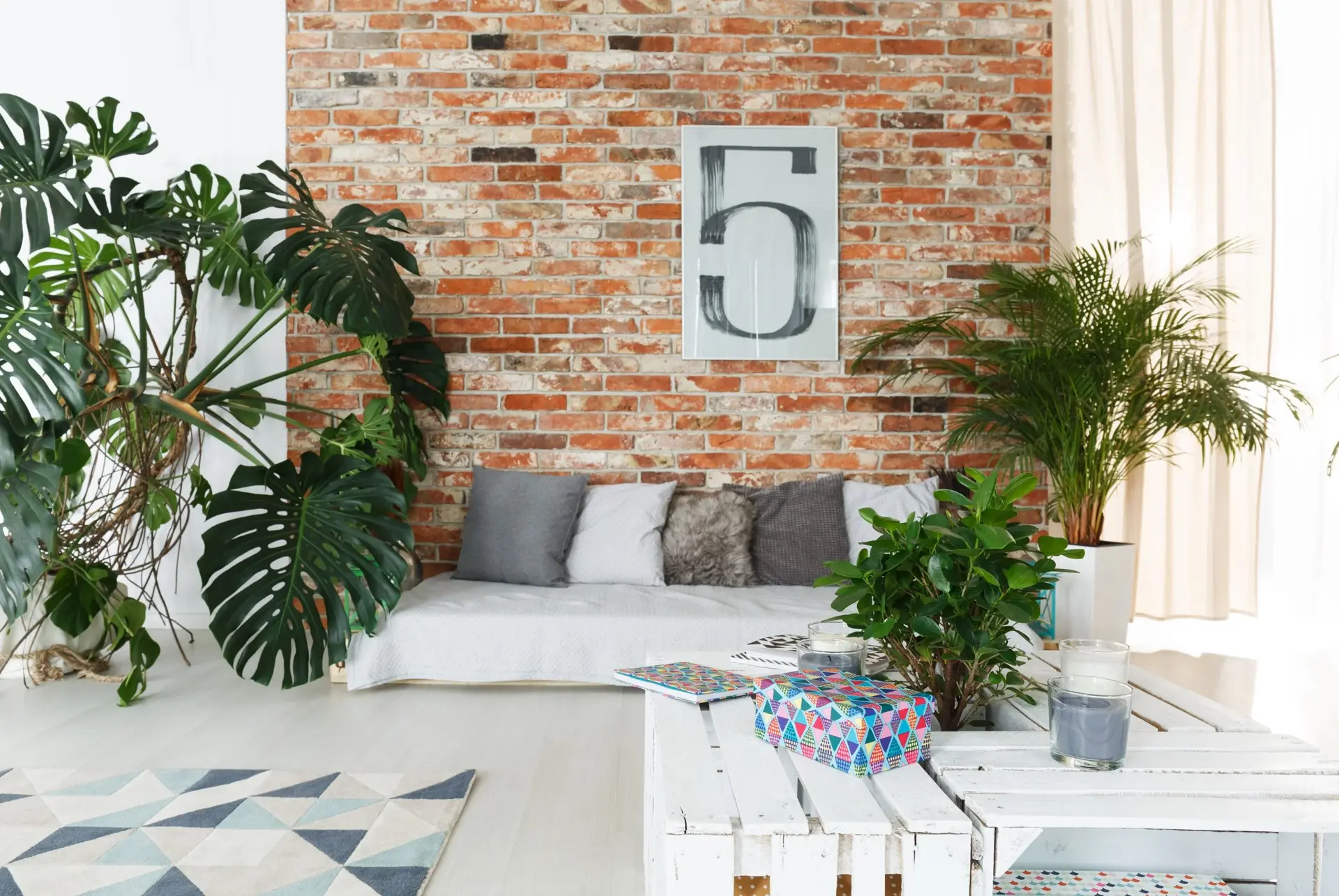 Plants in interior decor